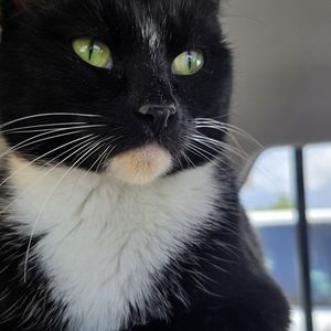 Meet your Posher, Joseph